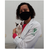 contato de clínica 24 horas veterinária Gaivotas