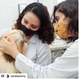 contato de laboratório de análises veterinárias Maracanã
