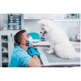 diagnóstico laboratório veterinário clínica Porto Paquetá