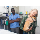 diagnóstico veterinário laboratório Nova Itanhaém