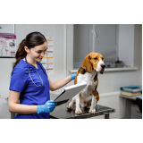 endereço de clínica de exame para cachorro Oásis