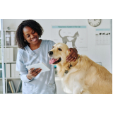 endereço de clínica veterinária para cães Vila Caiçara