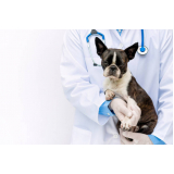 exame coproparasitológico cães marcar Boqueirão