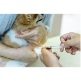 exame de hemograma para animais Santa Eugênia