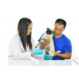 exames de pcr para cães marcar Corumbá