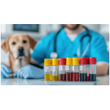 hematologia veterinária marcar Porto Macuco