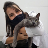laboratório de análises clínicas veterinárias Vila Matias