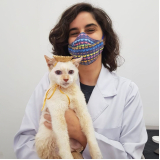 laboratório de análises veterinárias contato Guilhermina