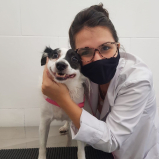 laboratório de exames para animais Centro  de São Vicente