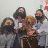 laboratório para análises veterinárias telefone Vila mar