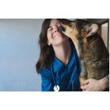 laboratório veterinário exame de fezes animal contato Boqueirão