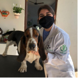Laboratório Veterinário Pet Praia Grande