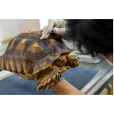 laboratório veterinário para animais silvestres Bom Retiro