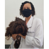 laboratório veterinário pet contato Monte Serrat