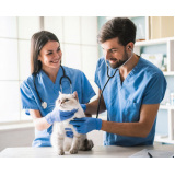 onde tem clínicas veterinária para gato Santos