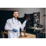 telefone de laboratório veterinário exames laboratoriais Caruara