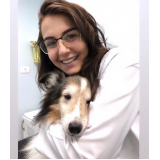 telefone de laboratório veterinário pet Maracanã