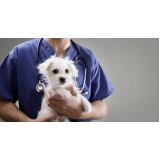 valor de exame coproparasitológico veterinário Flórida