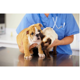 valor de exame de coproparasitológico em cães Caneleira