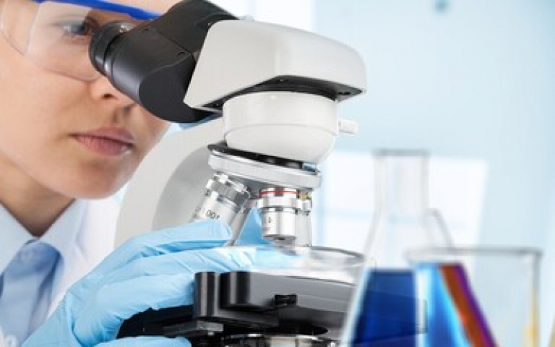 Valor de Exame de Histopatologia Flórida - Exame Histopatológico Veterinário